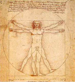 Leonardo da Vinci, Quaderno di anatomia VI, fol. 8 recto, um 1500