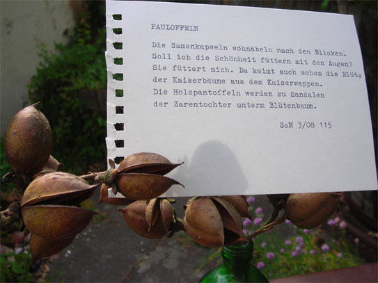 PAULOFFELN // Die Samenkapseln schnäbeln nach den Blicken. / Soll ich die Schönheit füttern mit den Augen? / Sie füttert mich. Da keimt auch schon die Blüte / der Kaiserbäume aus dem Kaiserwappen. / Die Holzpantoffeln werden zu Sandalen / der Zarentochter unterm Blütenbaum. PAULOFFELN // Die Samenkapseln schnäbeln nach den Blicken. / Soll ich die Schönheit füttern mit den Augen? / Sie füttert mich. Da keimt auch schon die Blüte / der Kaiserbäume aus dem Kaiserwappen. / Die Holzpantoffeln werden zu Sandalen / der Zarentochter unterm Blütenbaum.