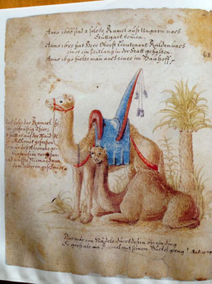 aus: Daniel Pfisterer, BilderChronik, Köngen 1716-1728 aus: Daniel Pfisterer, BilderChronik, Köngen 1716-1728