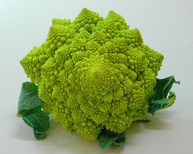 Cavolfiore romanesco, Türmchenkohl, Minarettkohl, Pyramidenblumenkohl