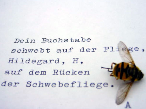 Dein Buchstabe / schwebt auf der Fliege, / Hildegard, H, / auf dem Rücken / der Schwebefliege. // A