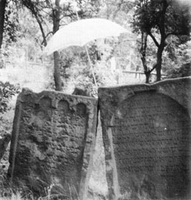 Polaroidfoto Hans Arnfrid Astel